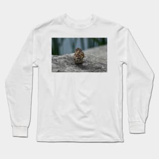 House Sparrow by the water Long Sleeve T-Shirt